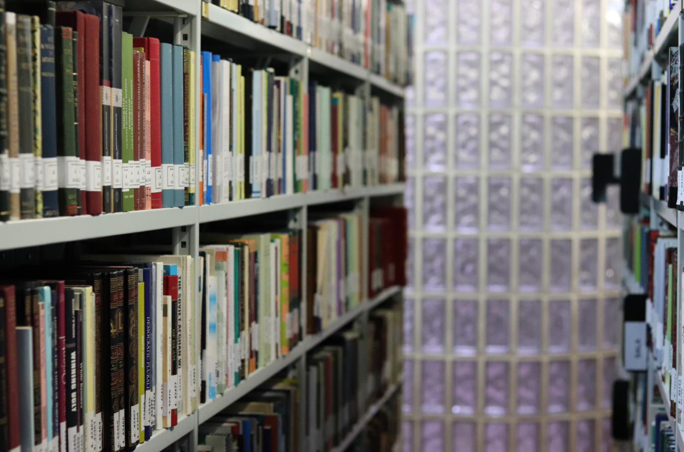 La Biblioteca AECID se une al lema
