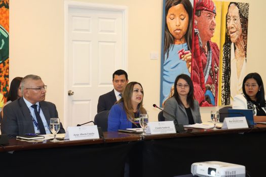Claudia Sandoval (Coord. de Estrategia de Cooperación de la ESCO)