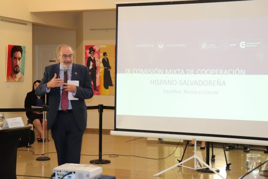 Fernando Rey Yébenes, Coordinador de la Agencia Española de Cooperación Internacional para el Desarrollo (AECID)
