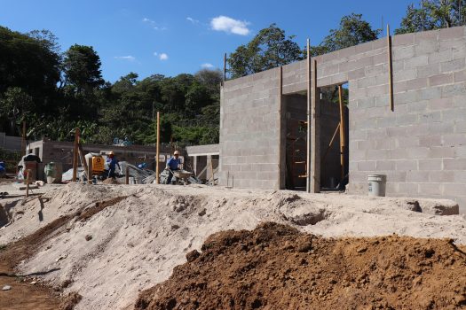 Mostrando la obra