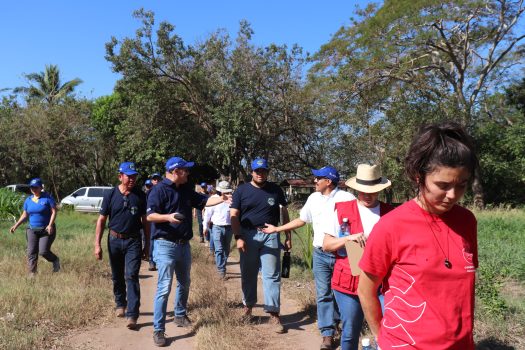 Las autoridades recorrieron las fincas para conocer las medidas implementadas hasta la fecha. Foto: Graciela Barrera