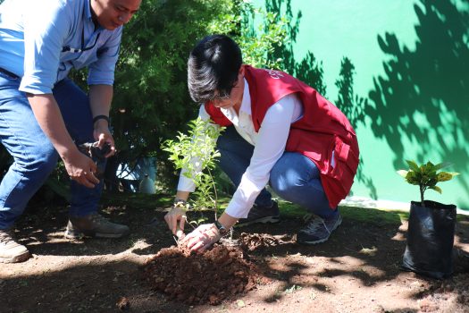 Cooperante española durante la siembra de árboles
