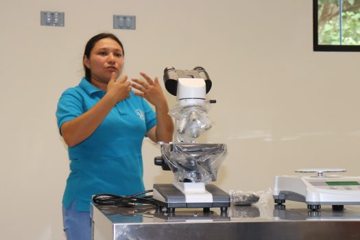 Mujer explicando el proyecto